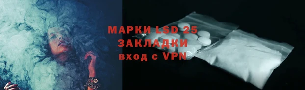 шишки Инта