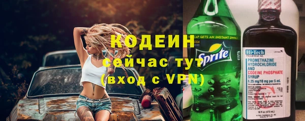 прущие грибы Иннополис