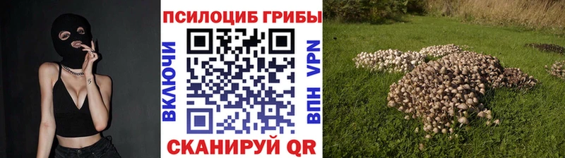 Купить Полевской Галлюциногенные грибы прущие грибы